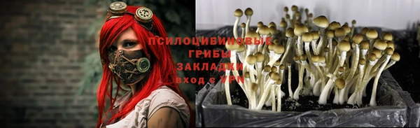 apvp Гусиноозёрск