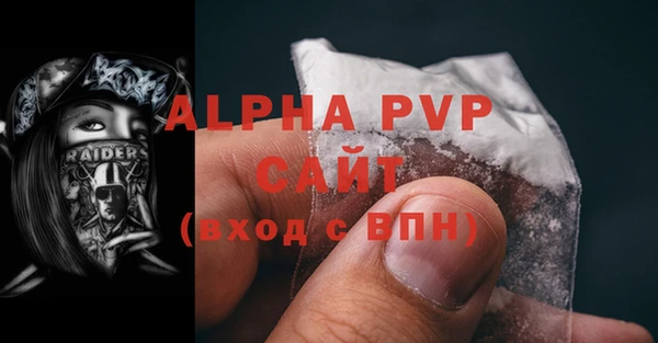 эйфоретик Гусев
