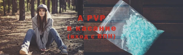 apvp Гусиноозёрск