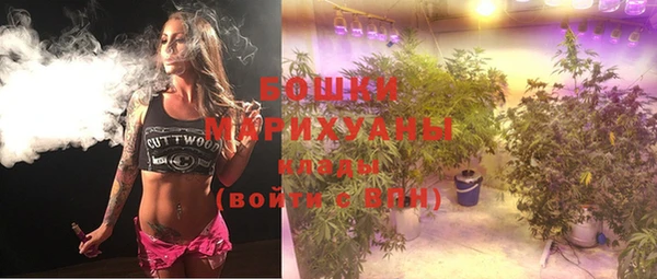 бутират Гусь-Хрустальный
