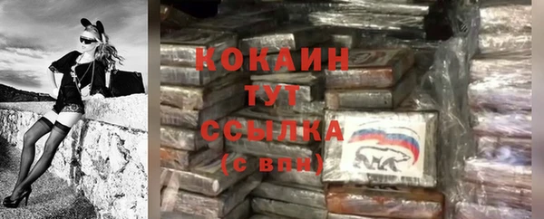 apvp Гусиноозёрск